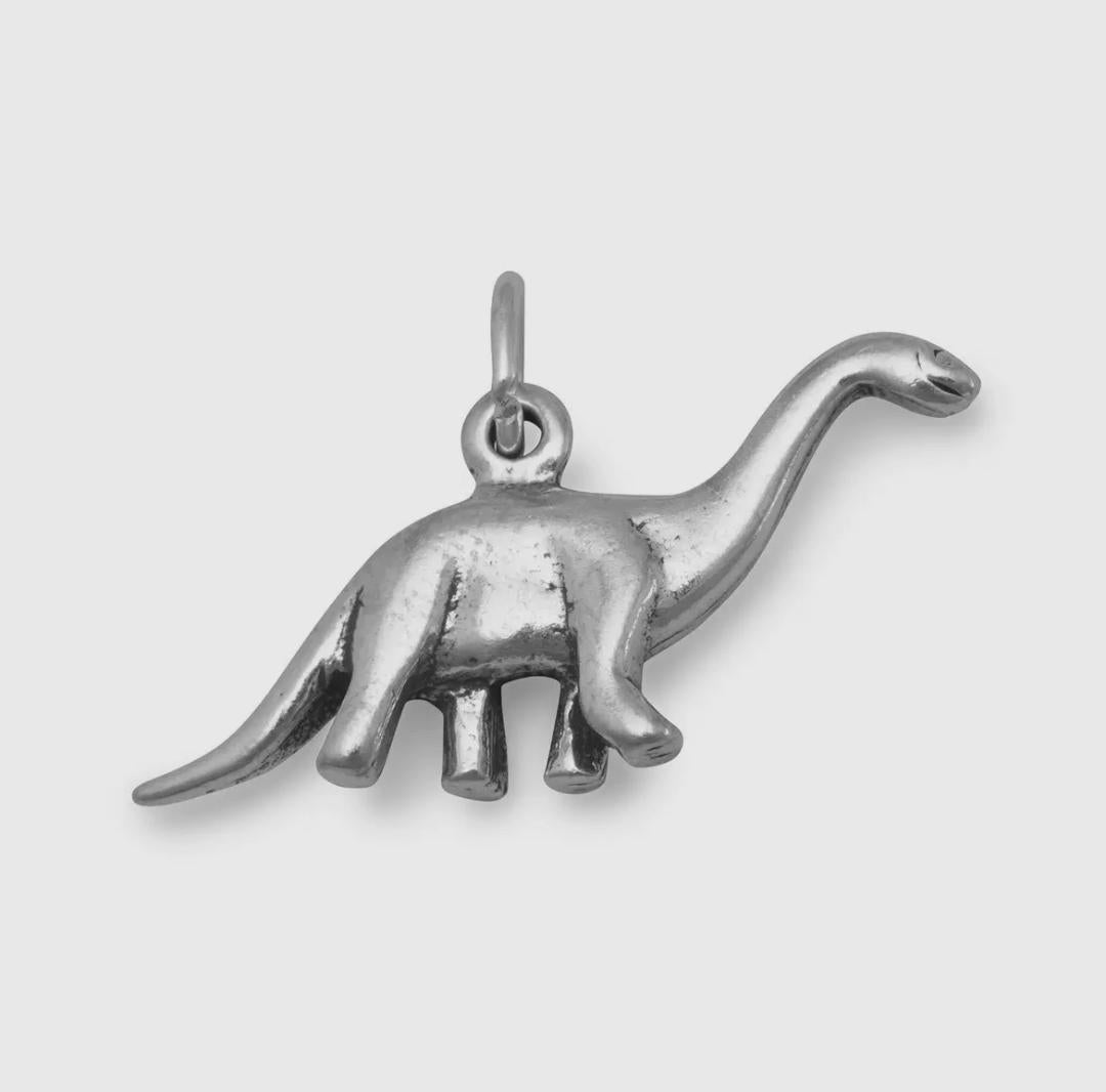 Dino Story Charm